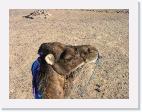 IMG_5186_guide * 1600 x 1200 * (1.46MB)