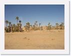 IMG_5229_Risani_Oasis * 1600 x 1200 * (770KB)